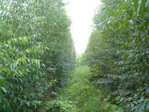 �ŵ�88��ҵ̼��